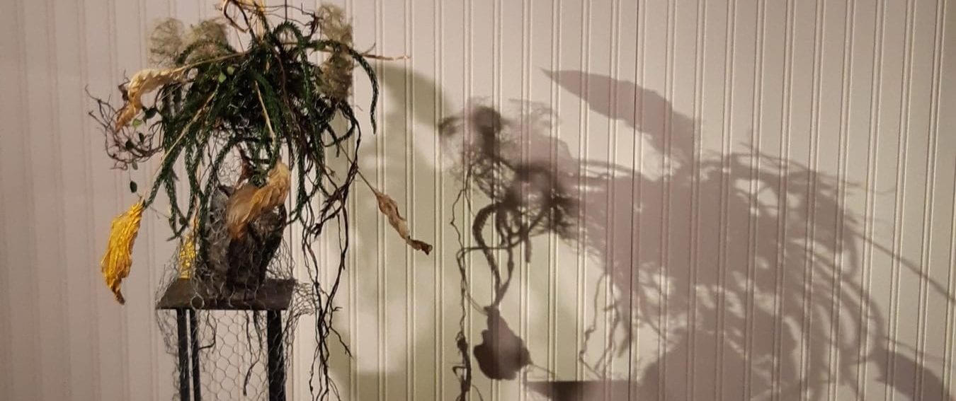 Experimental expressions with plant materials