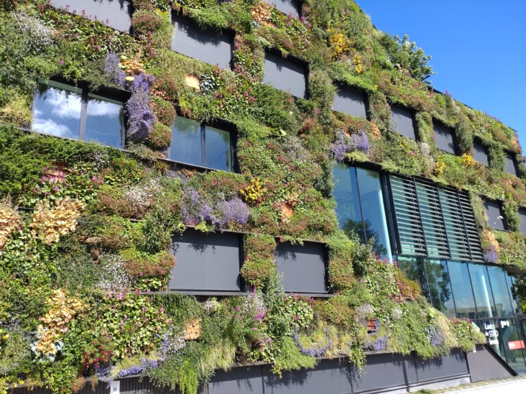 Bygg med grønne levende vegger