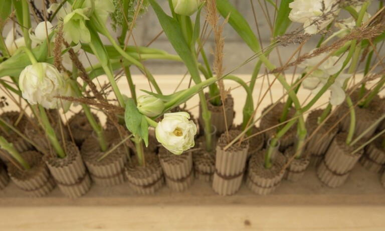Hvite fylte tulipaner arrangert i ruller av bølgepapp