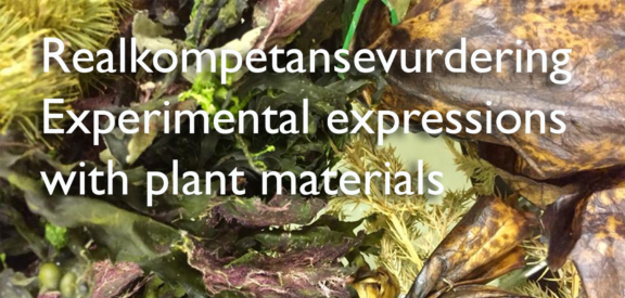 Realkompetansevurdering til Experimental expressions with plant materials