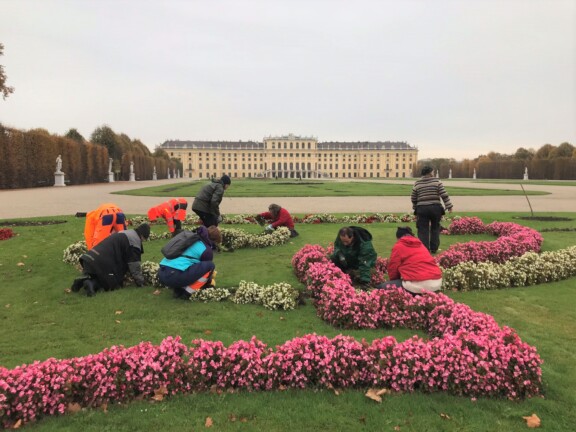 Gartnere i arbeid på Shcönbrunn