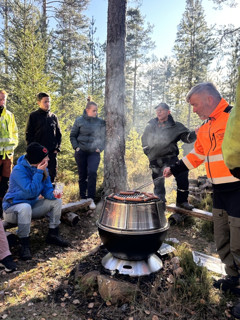 Grilling av pølser