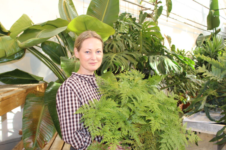 Dame med rutete bluse som holder en grønnplante i hendene
