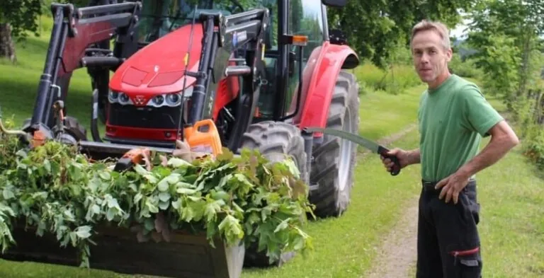 Rød traktor med skuffe og mann i grønn genser