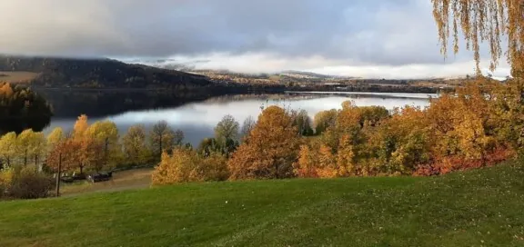 Norges grønne fagskole – Vea