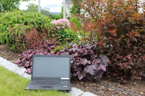 Laptop som er plassert ute i et blomsterbed