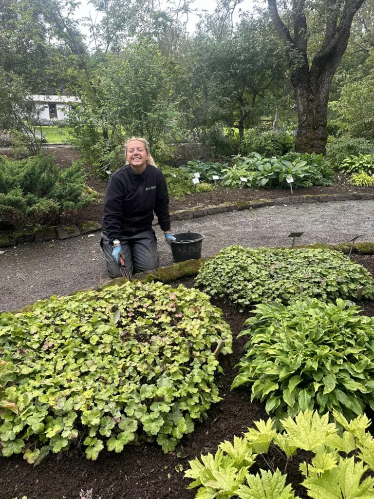 Gartner i arbeid Botanisk hage på Island
