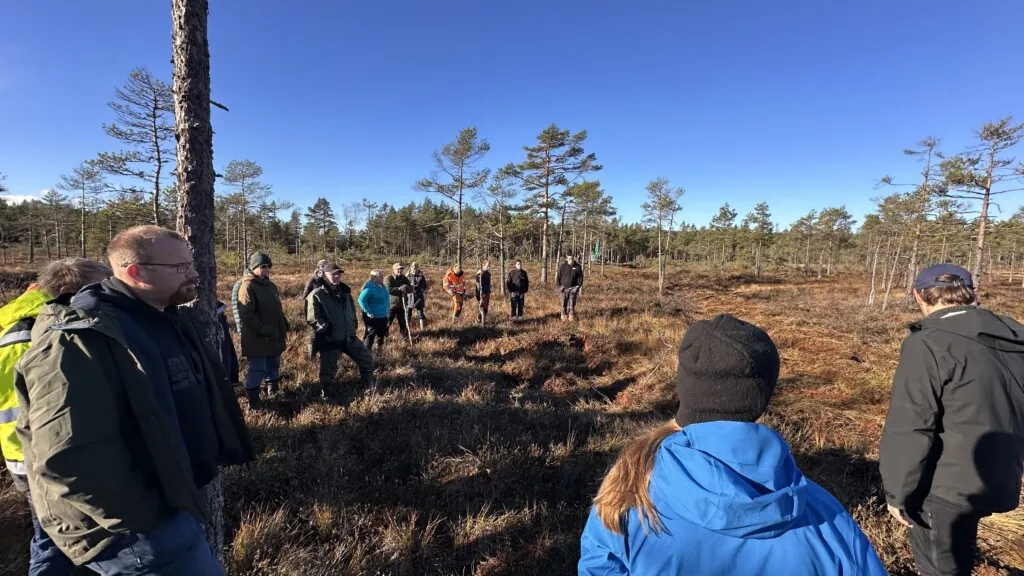 Personer som står ute i ei myr