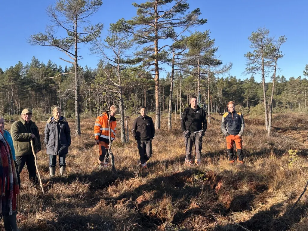 Personer som står ute i en myr