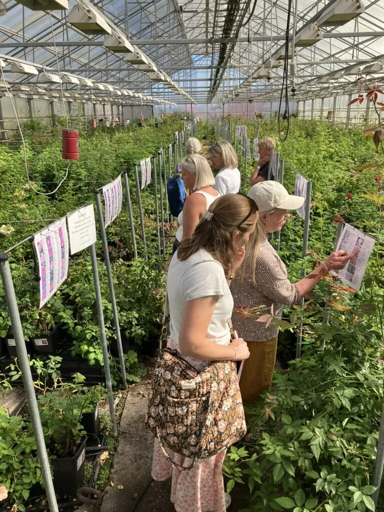Fagskolestudenter på besøk i Hesleberg gartneri