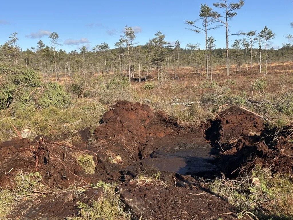 Konstruert myrdemning
