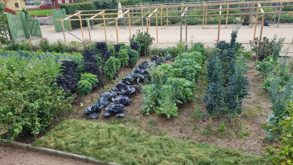 Grønnsaksbed på Gunnebo slott