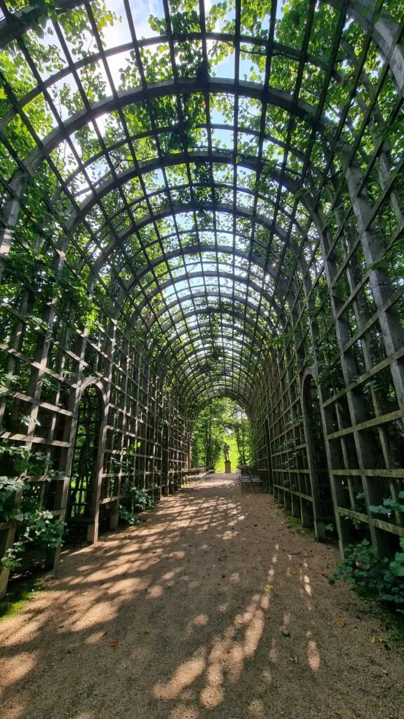 Buet espalier med grønt der du kan skimte himmelen