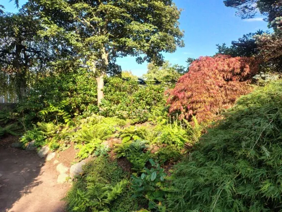 Beplantning i Trädgårdsföreningen i Göteborg