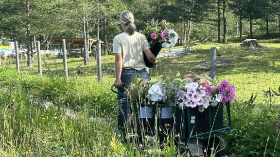 dame som trekker en vogn full av sommerblomster