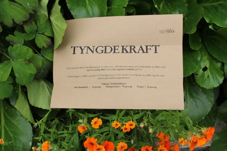Bilde av et brunt ark med sort tekst der det står "Tyngdekraft"