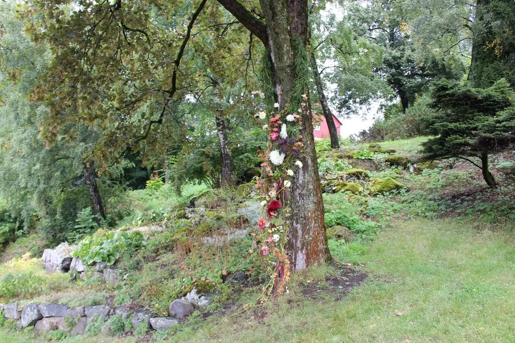 Blomsterarbeid som henger ned langs stammen på et tre