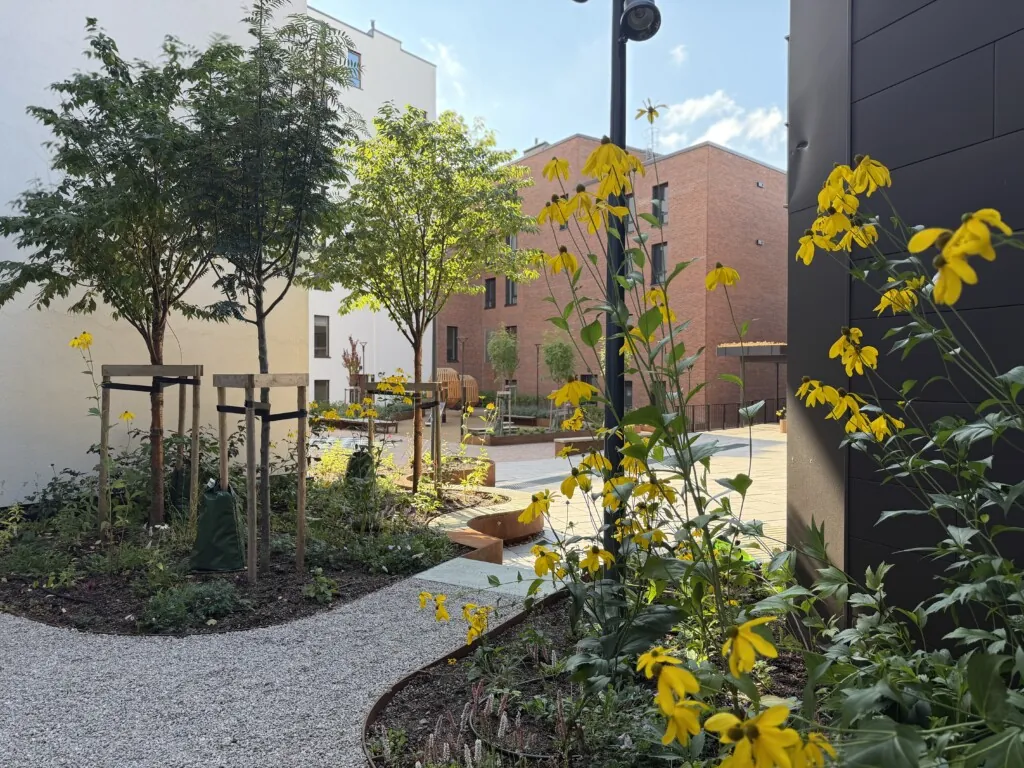 Bakgård med singelganger og beplantning