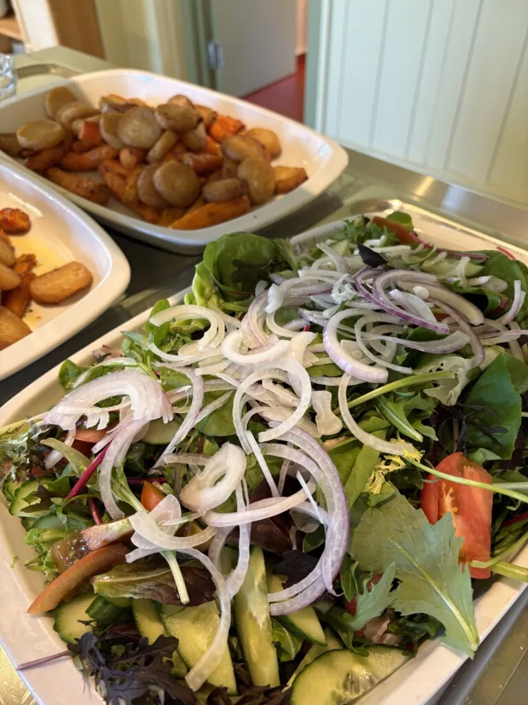 Salatfat med rødløk på toppen