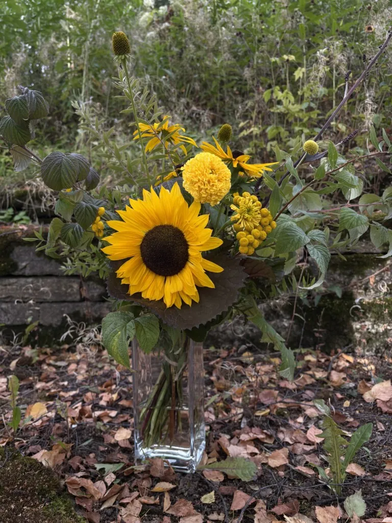 Bukett med solsikke, gul tagetes, reinfann og rudbeckia