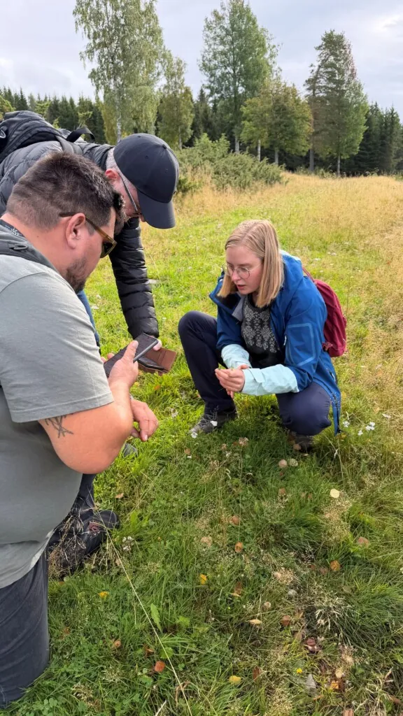 Studenter som leter etter ulike arter i en blomstereng