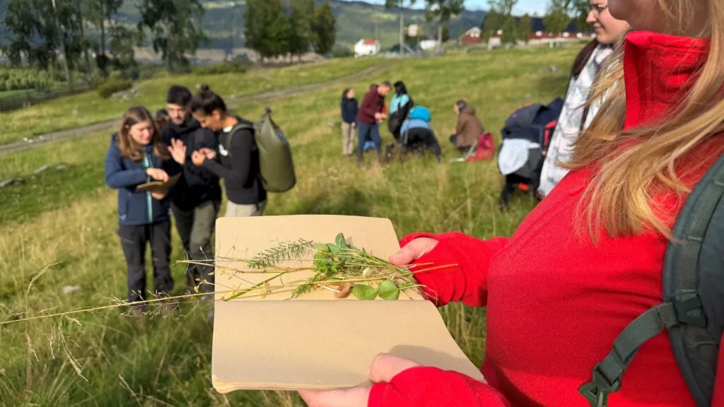 Noen mennesker samlet ute i en blomstereng, der en viser frem et ark der det ligger ulike arter