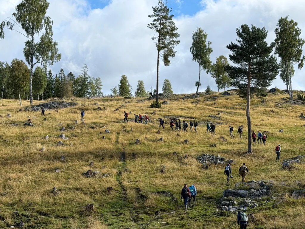 Mange personer som er ute på et stort beite
