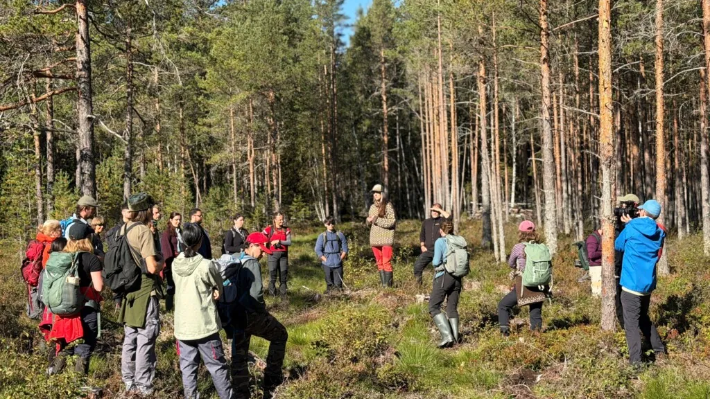 Undervisning ute i myra