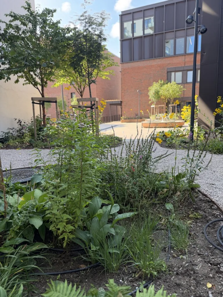 Blomsterbed og grusganger
