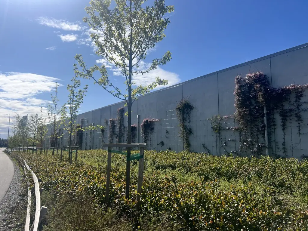 Beplantning langs et stort bygg